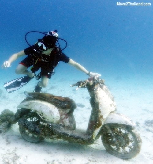 Diving in Phuket