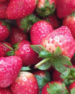 Strawberry in Thailand