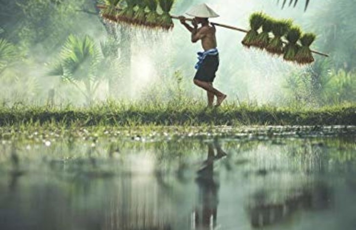 Incredible Thailand Notebook and Travel Journal: 8.5×11″ 120 Page Planner With a Custom Designed Interior