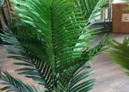 Where can I buy artificial plants (faux) in Pattaya?