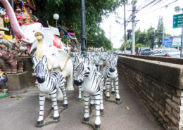 Why are there zebras at shrines and spirit houses in Thailand?